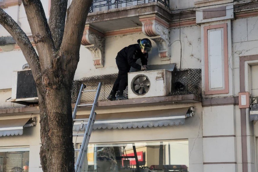 Bomberos rescataron a una gatita atrapada en una red en pleno centro de Rafaela. Foto: Radio Rafaela