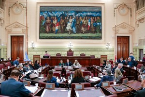 La exposición se realizó ante convencionales, en la legislatura de Santa Fe. Foto: Prensa