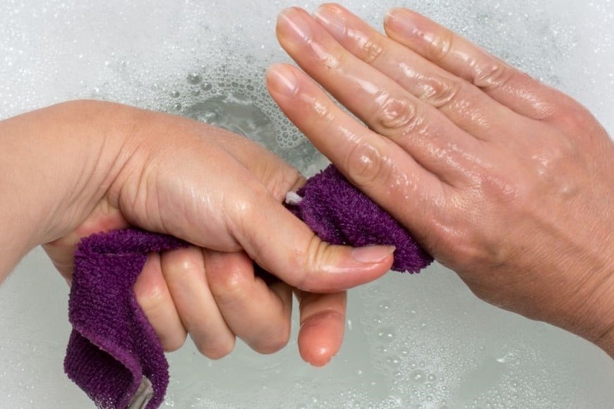 Los repasadores húmedos y sucios son el ambiente ideal para el desarrollo de microorganismos