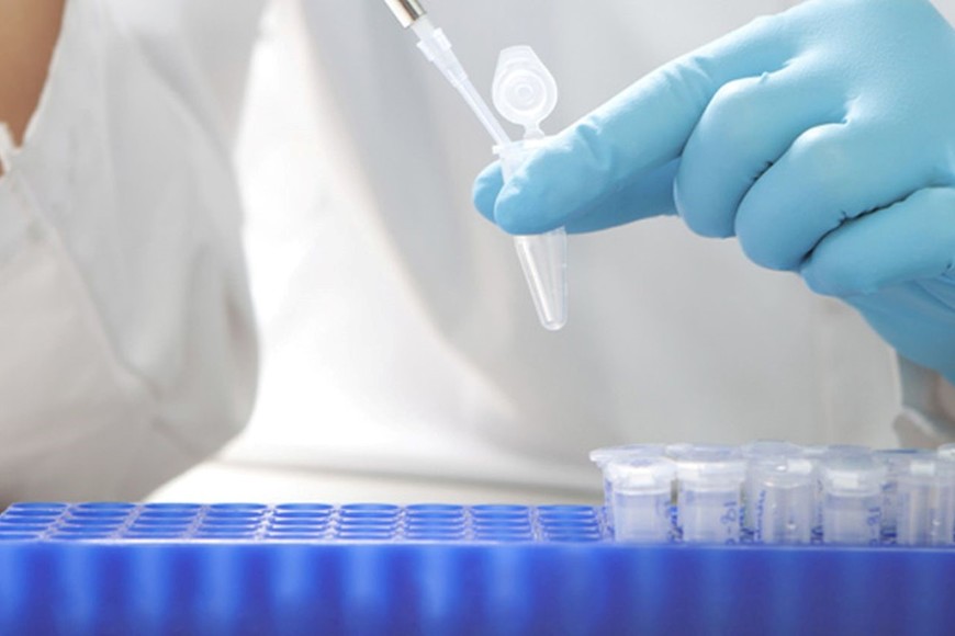 Científicos advierten sobre el "desmantelamiento" que se manifiesta en "personas altamente capacitadas que emigran, en insumos para investigación que ya no podemos adquirir y en proyectos de investigación cada día más complicados de continuar activos".