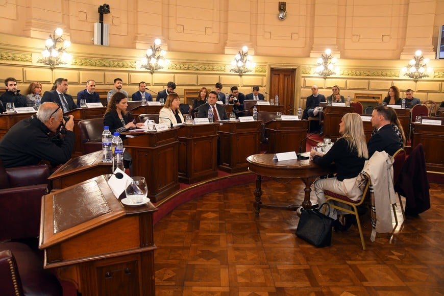 Junto a la fiscal María Cecilia Vranicich, la defensora general Estrella Moreno Robinson fue una de las primeras expositoras ante la Convención. Crédito: Guillermo Di Salvatore