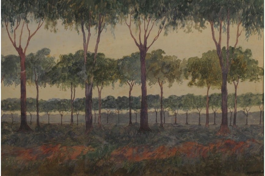 Museo Nacional de Bellas Artes