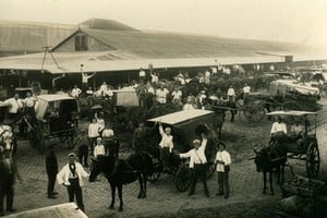 Horticultores delante del Mercado de Abasto de Santa Fe. Muchos de los migrantes llegados de Italia eran agricultores, por lo que aquí se ocuparon del trabajo en las huertas, aunque también del comercio y la construcción. Gentileza