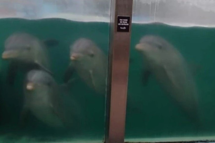 El Aquarium  cerró definitivamente sus puertas el 31 de marzo.