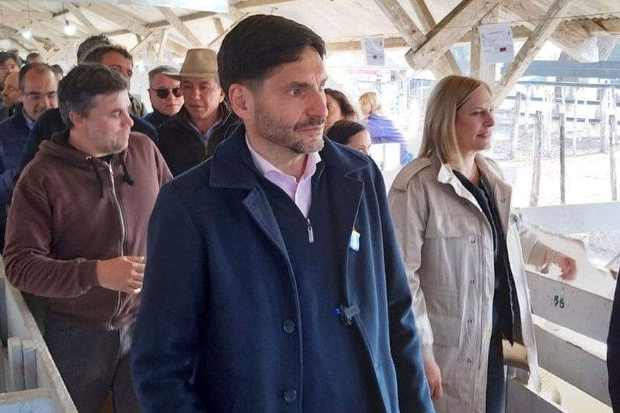 Pullaro y Scaglia en el recorrido por los corrales de los mejores ejemplares de Hampshire Down. Foto: Sur24