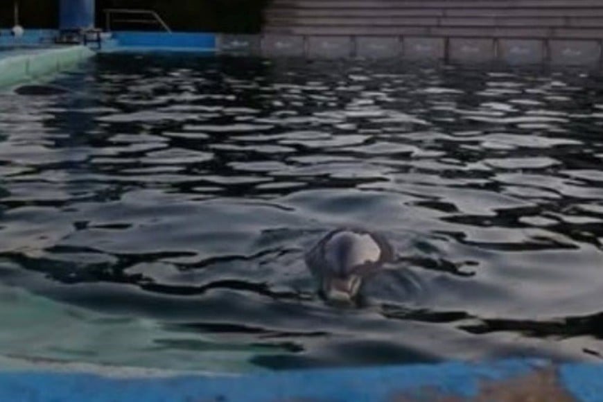 Organizaciones ambientales y vecinos alertan sobre el aparente deterioro