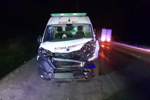 El animal murió en el acto y quedó tendido sobre la ruta