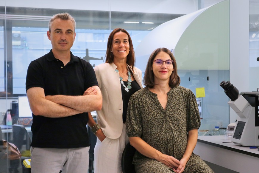El equipo desarrolló que desarrolló la investigación.