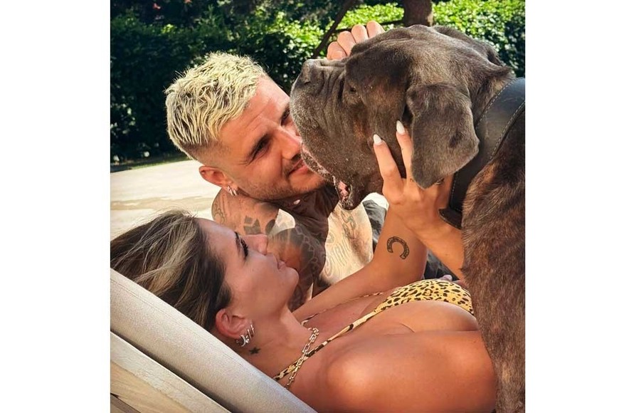 Una de las mascotas que comparten.