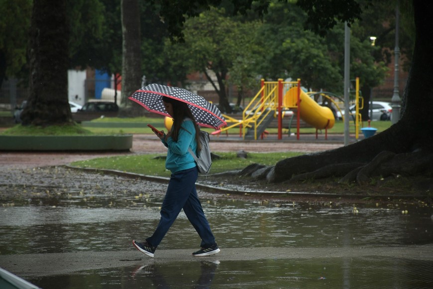 Imagen ilustrativa. Crédito: Guillermo Di Salvatore