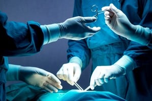 Comenzaron las capacitaciones pertinentes para llevar adelante estos protocolos.