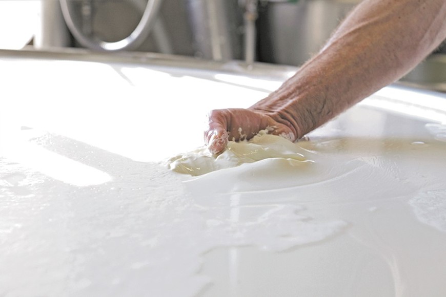 Los problemas económicos vienen desde enero, con un éxodo de tambos provocado por pagos incumplidos y la multiplicación de cheques rechazados. Foto: Archivo El Litoral