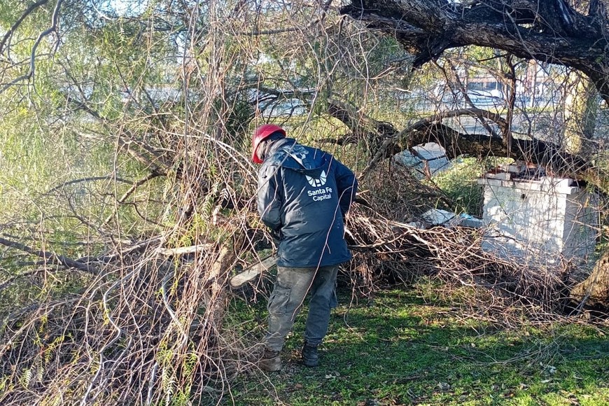 Cuadrillas en acción. MCSF