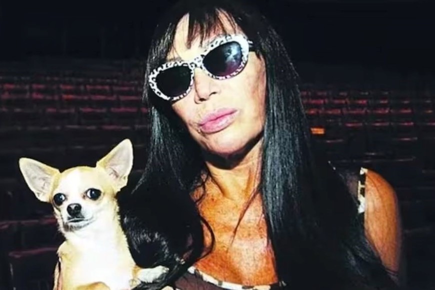 Cristóbal, el chihuahua de Moria Casán