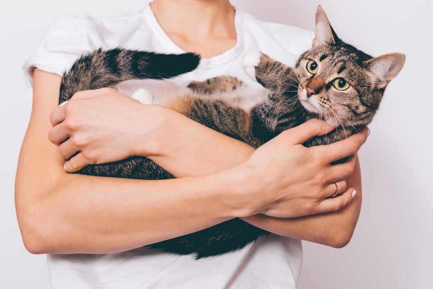 Interacción diaria que fortalece el vínculo afectivo.