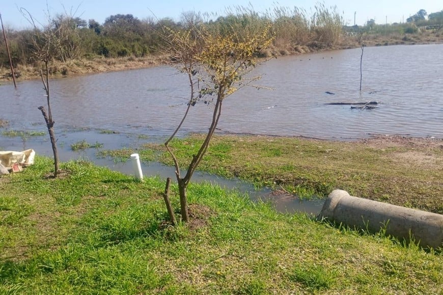 Temporal en la provincia de Santa Fe: una por una, estas son las diez localidades donde más llovió
