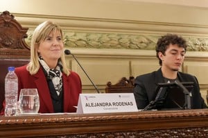 Alejandra Rodenas preside la comisión y puso de resalto la búsqueda de consensos. No obstante, algunos temas dividieron aguas. Gentileza Convención Reformadora.