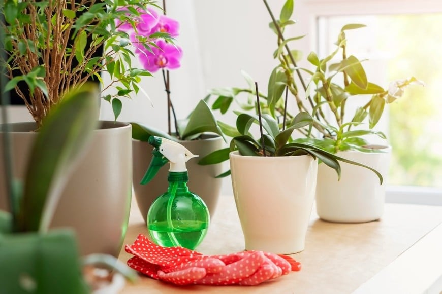 Espacio de jardinería con luz natural abundante.