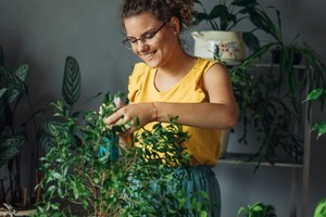 Hojas verdes que muestran distintos tonos y texturas.