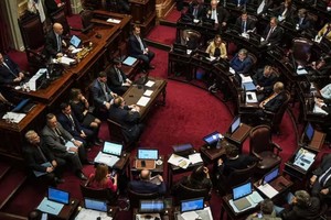 La iniciativa encontró adhesiones en los bloques Unión por la Patria, la Unión Cívica Radical (UCR), el PRO y bloques provinciales.