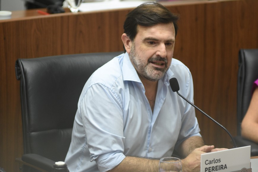Carlos Pereira (Interbloque "Unidos").