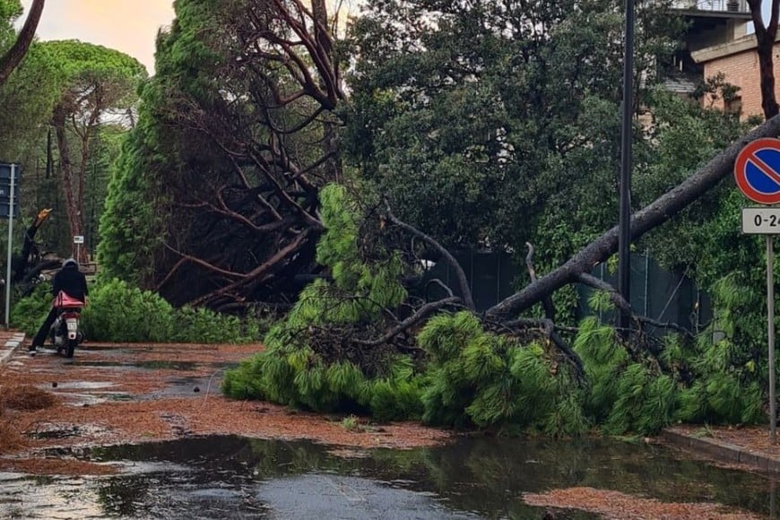 Calles anegadas y árboles caídos  tras el fuerte temporal nocturno.