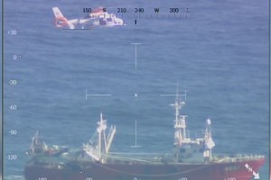 La operación se realizó con total éxito, a pesar de la complejidad. Foto: PNA