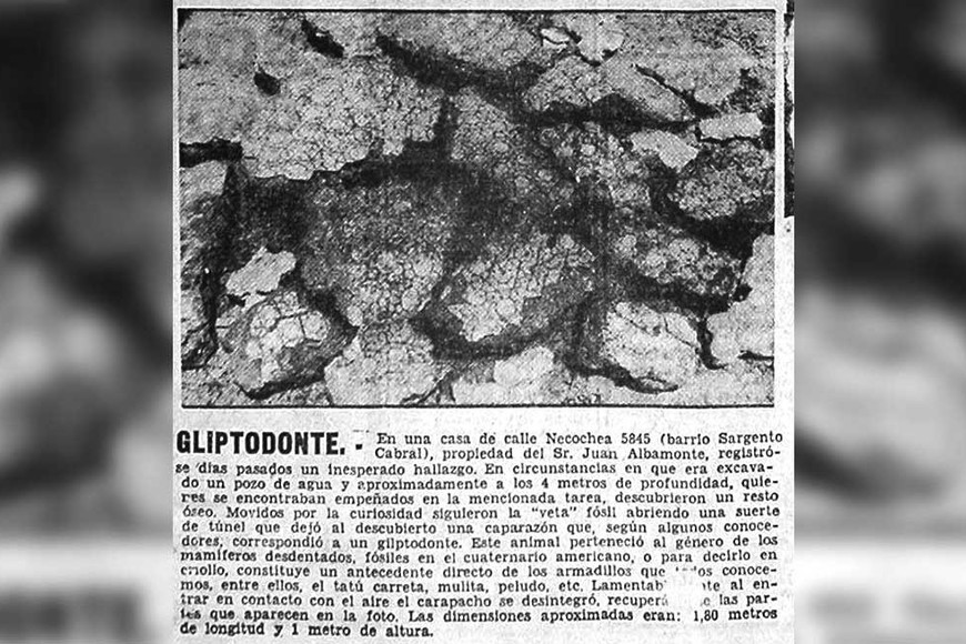 El recorte de El Litoral.