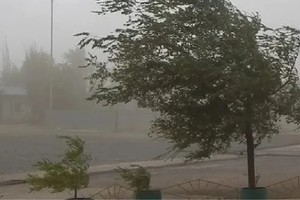 Santa Rosa trajo hasta nieve en una provincia del centro del país - Image 3