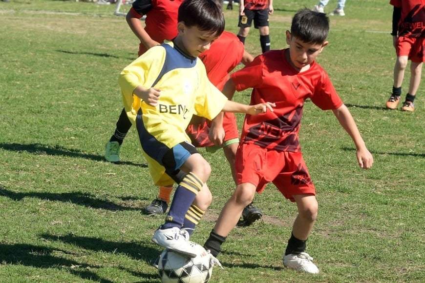 Escuelita, el gran semilleros. Créditos: Guillermo Di Salvatore