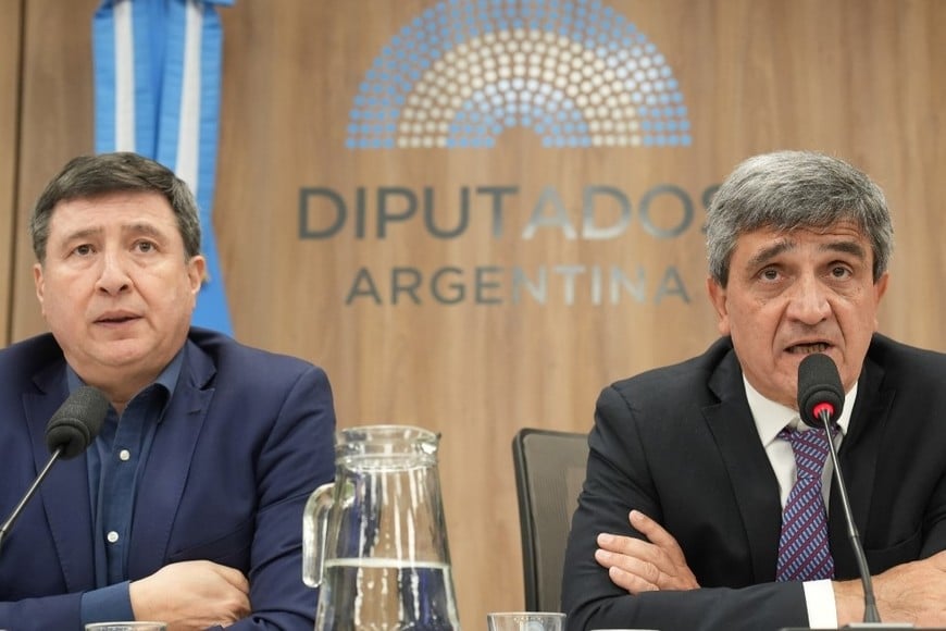 Daniel Arroyo, presidente de la Comisión de Discapacidad, y Pablo Yedlin, de Acción social y Salud Pública, en el plenario que analizó el caso ANDIS y las presuntas coimas en la compra de medicamentos. Crédito: Cámara de Diputados.