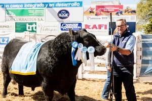 82ª Expo Rural de San Justo: cuatro días de genética ganadera, economía y espectáculos