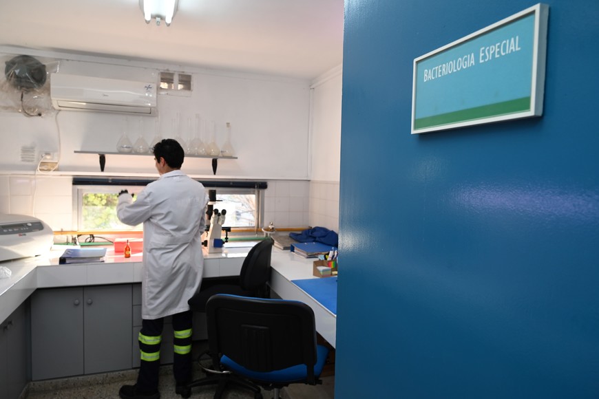 Crédito: Flavio Raina.