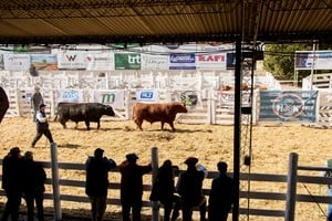 La Rural de San Justo cierra un 2025 histórico y proyecta nuevos desafíos para 2026
