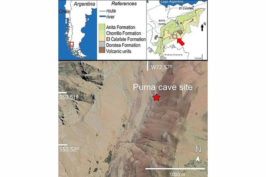 El lugar donde se hallaron los fósiles.