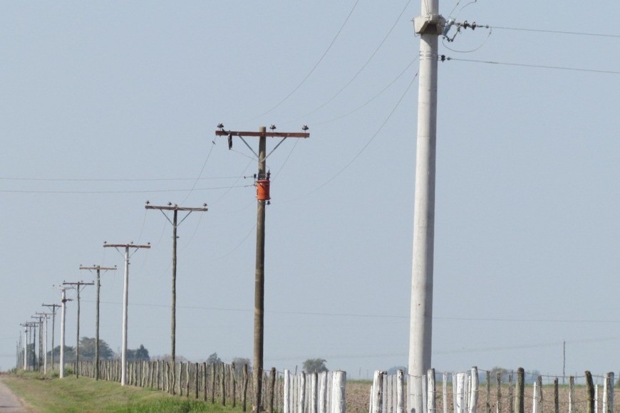 Los trabajos consisten en la construcción y remodelación de redes aéreas de media tensión, cuyo presupuesto oficial es de $2.136.558.545,04 y un plazo de ejecución de 18 meses.