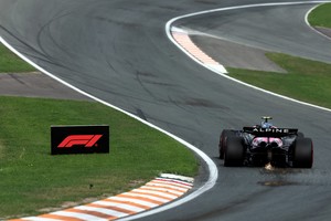Formula One F1 - Dutch Grand Prix - Circuit Zandvoort, Zandvoort, Netherlands - August 29, 2025
Alpine's Franco Colapinto during practice REUTERS/Christian Hartmann