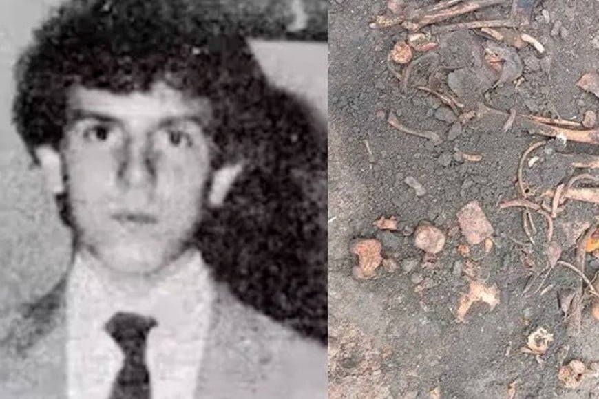 Peritos judiciales trabajando en la propiedad de Coghlan.