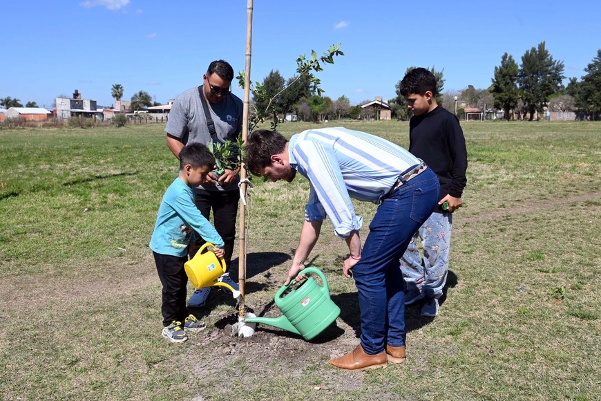 Todos, niños, adultos, plantan árboles. MCSF