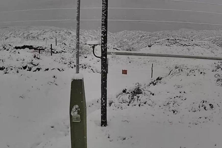 Complicaciones en el regreso de los turistas que realizaron tours de compras.