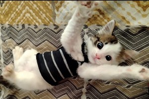 Cazadores de imágenes. "Estrenando chaleco". Crédito: Delfina Cano.