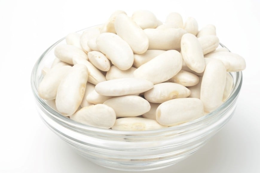 El poroto blanco es una excelente fuente de proteínas vegetales