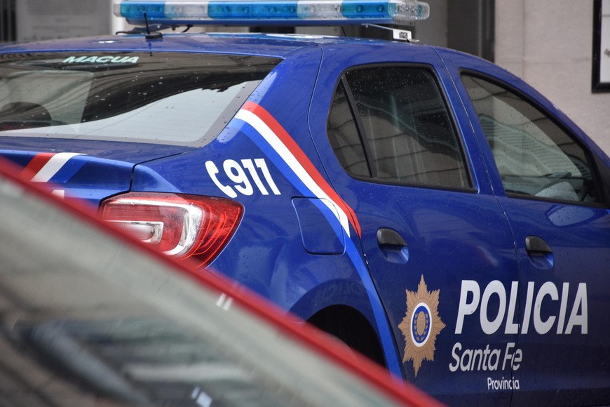 un llamado a la Central de Emergencias 911 alertó sobre un perro que había sido atropellado Créditos: Pablo Aguirre