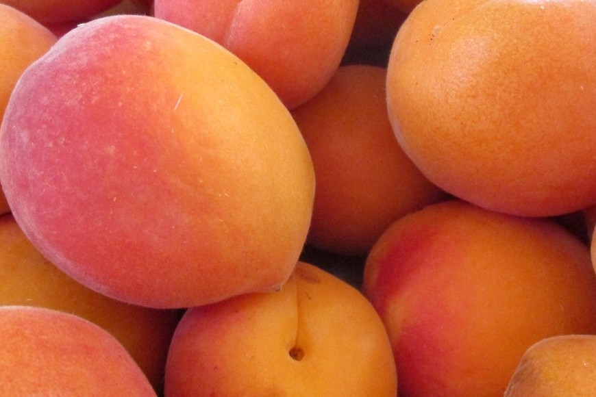 La fibra que se encuentra en la cáscara favorece el tránsito intestinal