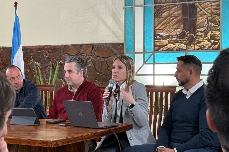 "Cada antena cuesta 1,1 millones de dólares, pero es la base que nos permite traer el 911 y el CD+911”, indicó Cococcioni