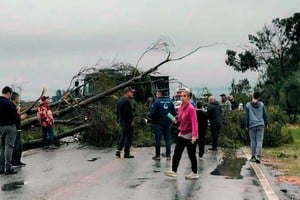 Árboles caídos y otros problemas en la región.