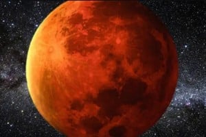 Investigadores chinos y estadounidenses presentaron pruebas directas sobre el descubrimiento.