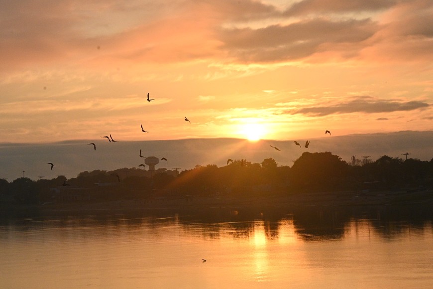Alto porcentaje de humedad Créditos: Flavio Raina