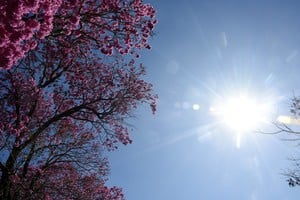 "El verano aún no puede predecirse porque cualquier oscilación en el Pacífico puede cambiar el escenario", advirtió Cristina. Crédito: Guillermo Di Salvatore