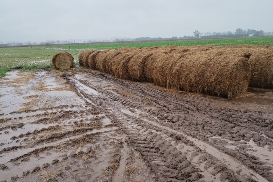 "Lo importante ahora es acompañar y seguir reclamando obras, para que cuando lleguen lluvias de este tipo, los daños no sean tan graves”, comentó la productora.